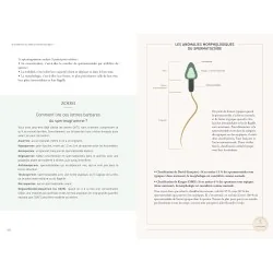 Pack Thermomètre Cyclotest Lady + Manuel pour une fertilité émancipée