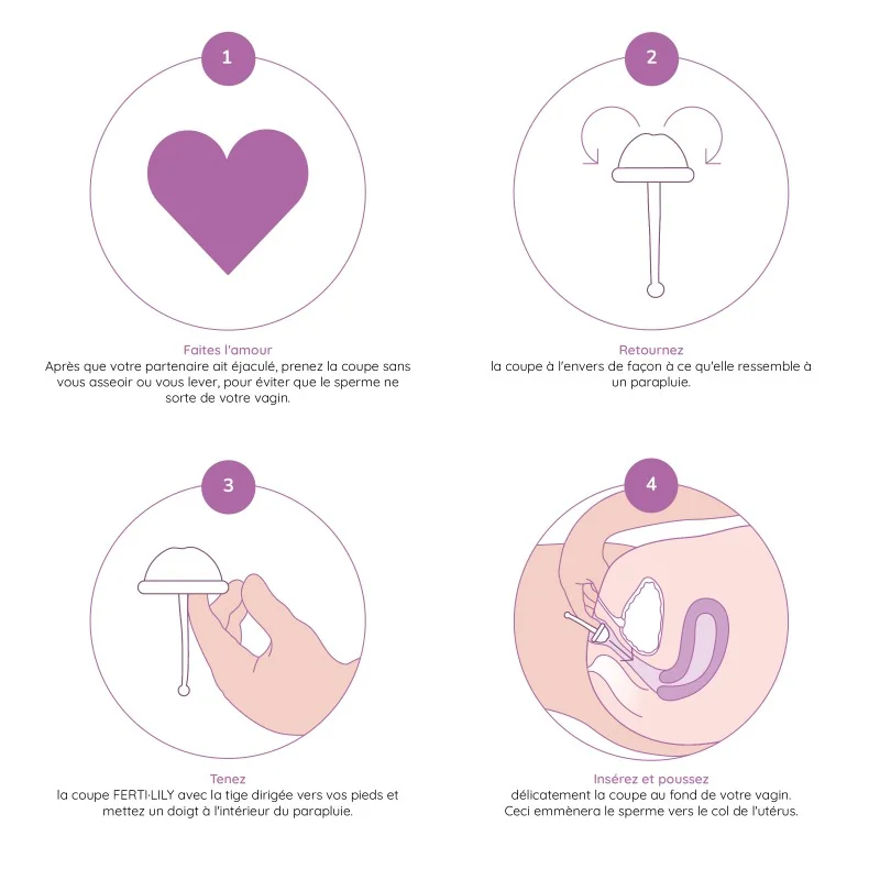 Pack FERTI-LILY Coupe + Gel